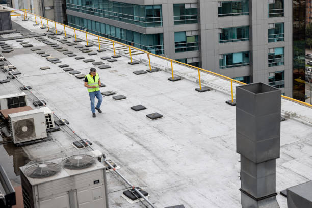 Best Emergency Roof Repair Services  in Northwood, OH