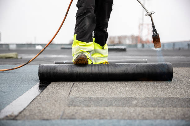 Best Emergency Roof Repair Services  in Northwood, OH