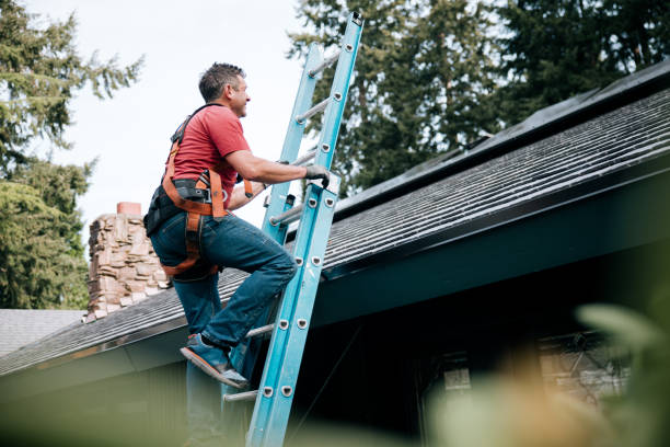 Best Skylights  in Northwood, OH